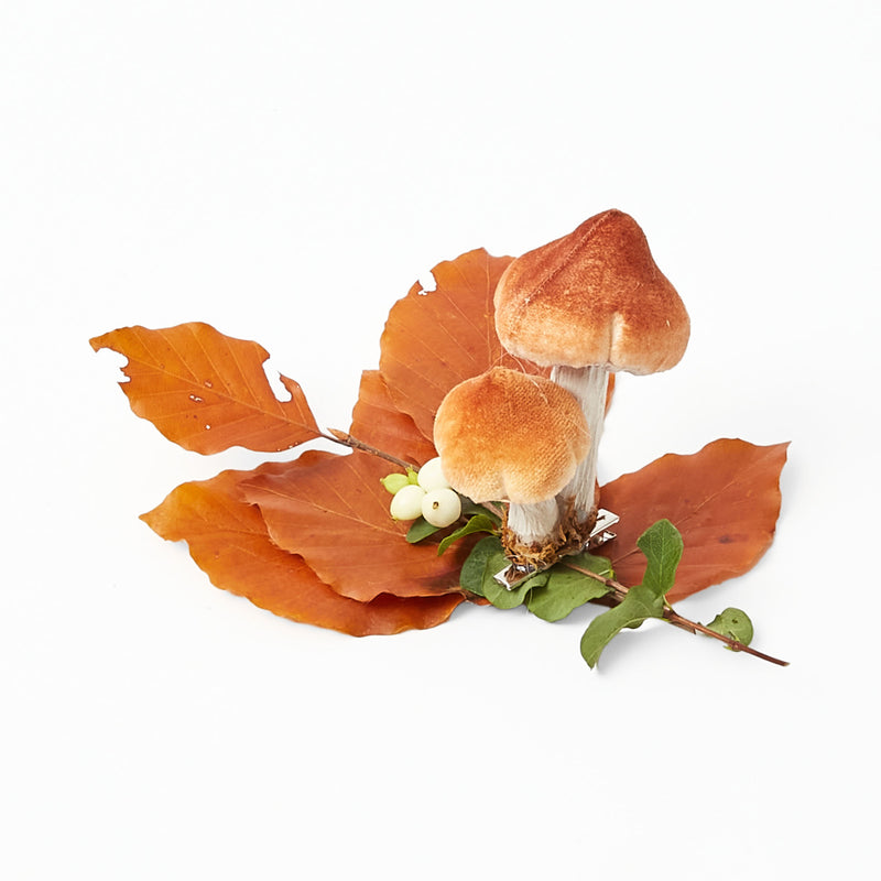 Captivate with these adorable Clip-on Mixed Mushrooms.