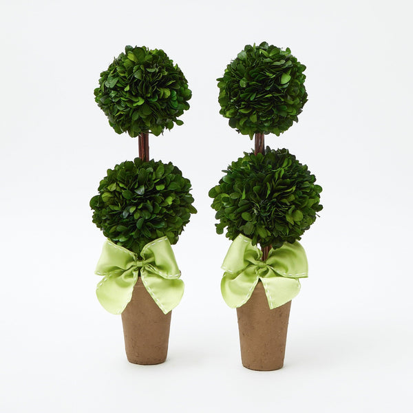 Double Potted Boxwood Ball with Green Bow (Pair) - Mrs. Alice