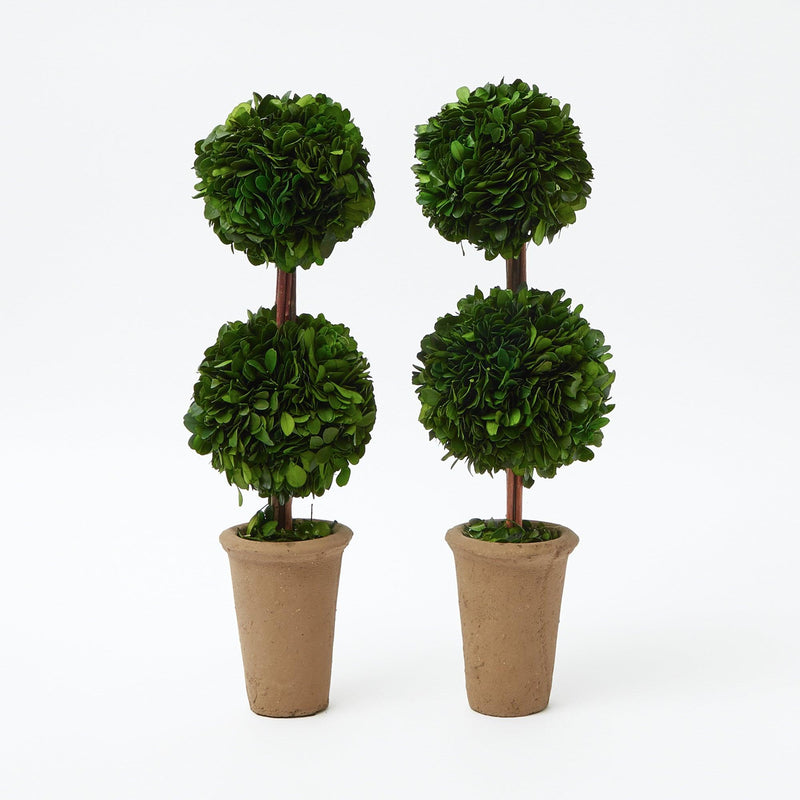 Elevate your home decor with the Double Potted Boxwood Balls - a charming pair that adds a touch of timeless natural elegance to your living space.
