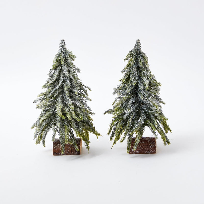 Add a touch of distinctive style to your holiday decor with the Frosted Fir Tree Pair, perfect for creating a unique and magical Christmas atmosphere.