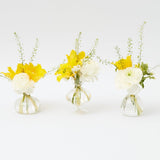 Say it with flowers using our Grace Bud Vase Set - a symbol of grace and natural beauty.