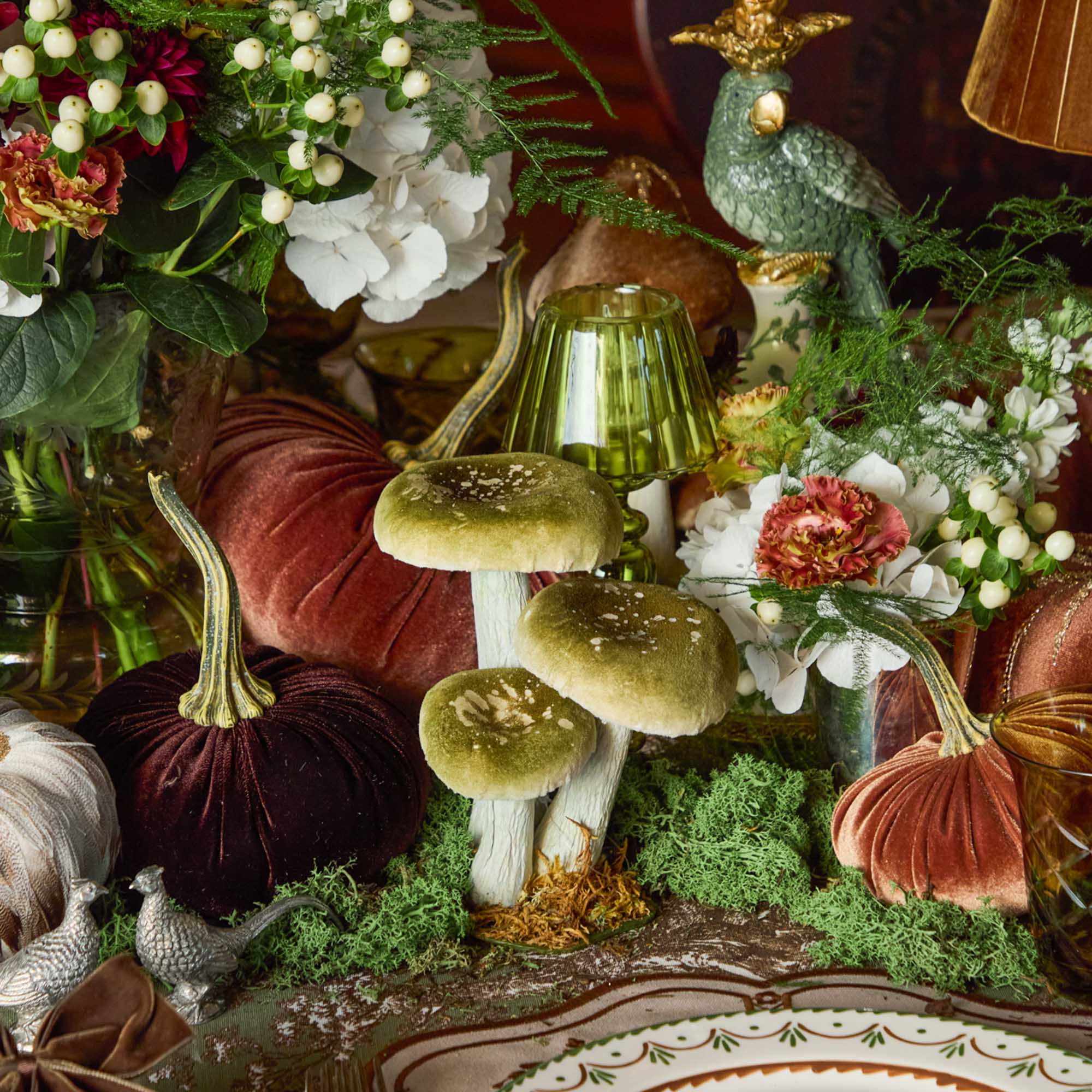 Small Mixed Mushroom Set