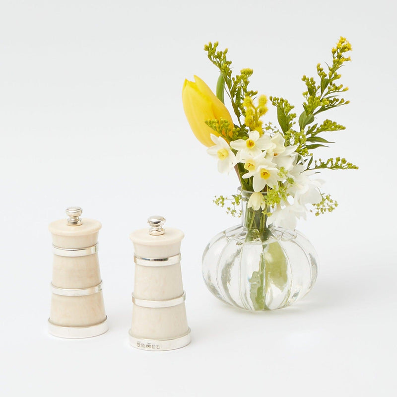 Pair of complementary ivory salt and pepper dispensers.