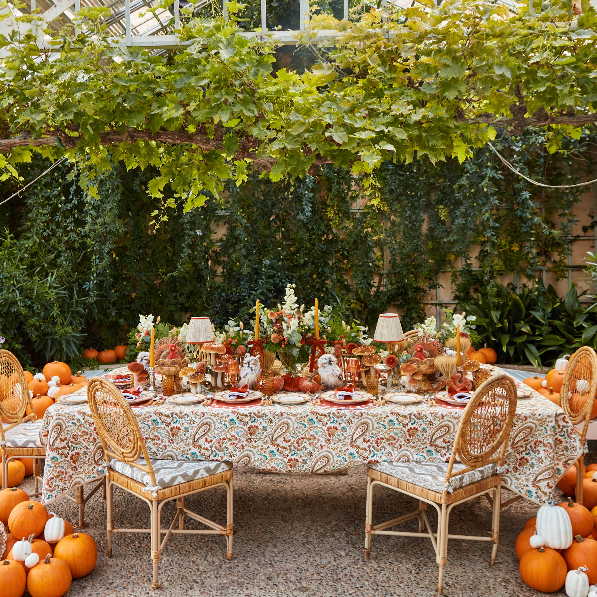 Orange Velvet Pumpkin Family
