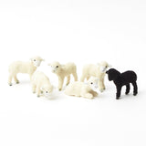 Mini Flock of Assorted Lambs - Mrs. Alice