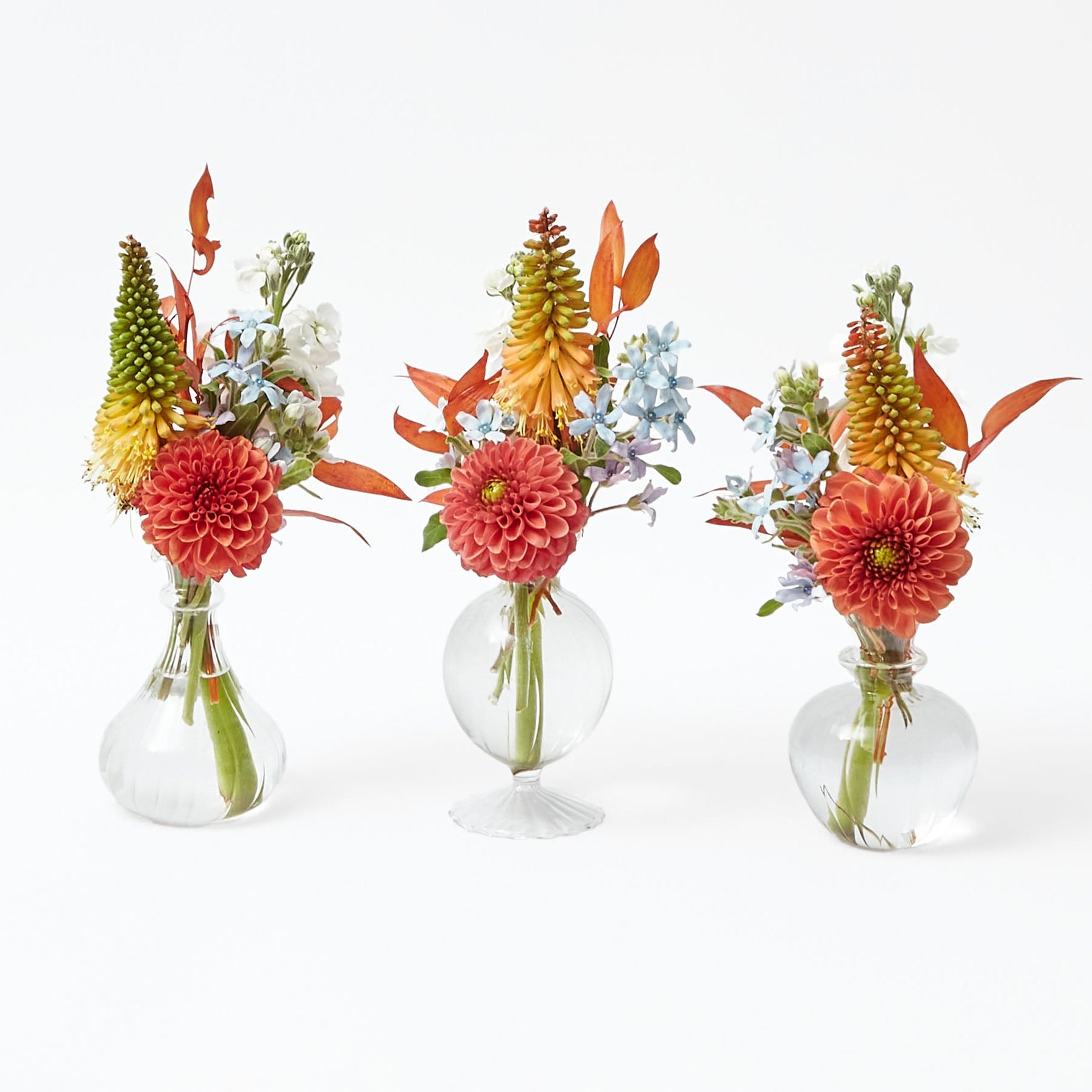 Nancy Bud Vase (Set of 3)