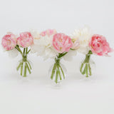 Nancy Footed Bud Vase (Set of 3) - Mrs. Alice