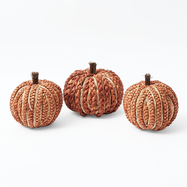 Add autumnal charm with the Burnt Orange Plaited Pumpkin Family.