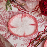 Pink Capri Lettuce Starter Plate (Set of 4) - Mrs. Alice