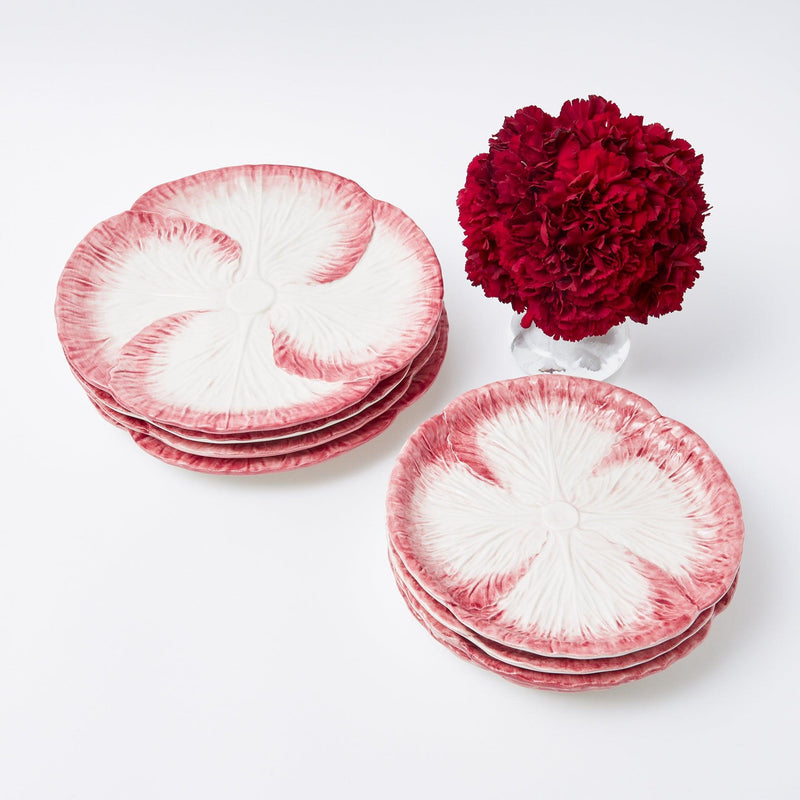 Pink Capri Lettuce Starter Plate (Set of 4) - Mrs. Alice