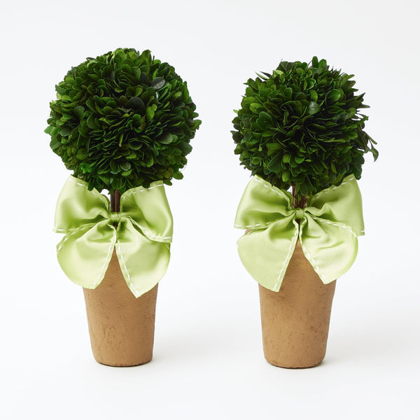 Potted Boxwood Ball with Green Bow (Pair) - Mrs. Alice