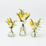 Romance Bud Vase (Set of 3) - Mrs. Alice