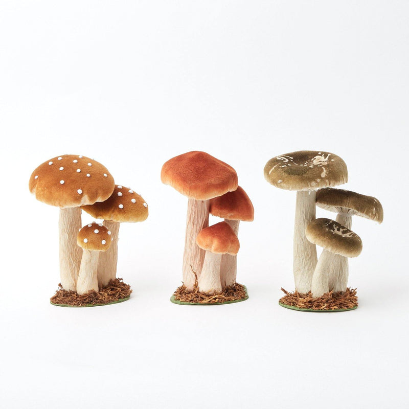 Elevate your decor with the charm of the Small Mixed Mushroom Set, a delightful addition to any space.