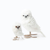 Snowy Owl (Pair)