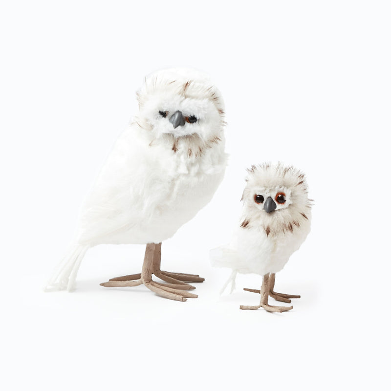 Small Snowy Owlet (Pair)