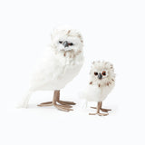 Snowy Owl (Pair)