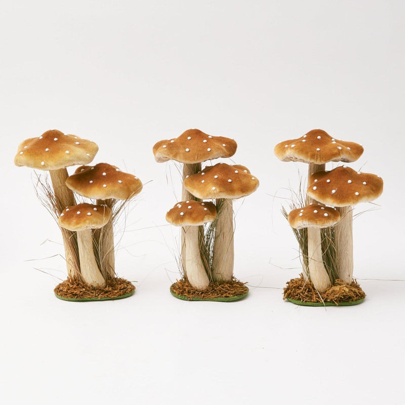 Elevate your decor with the sophisticated Tall Caramel Velvet Mushroom trio, adding understated elegance.