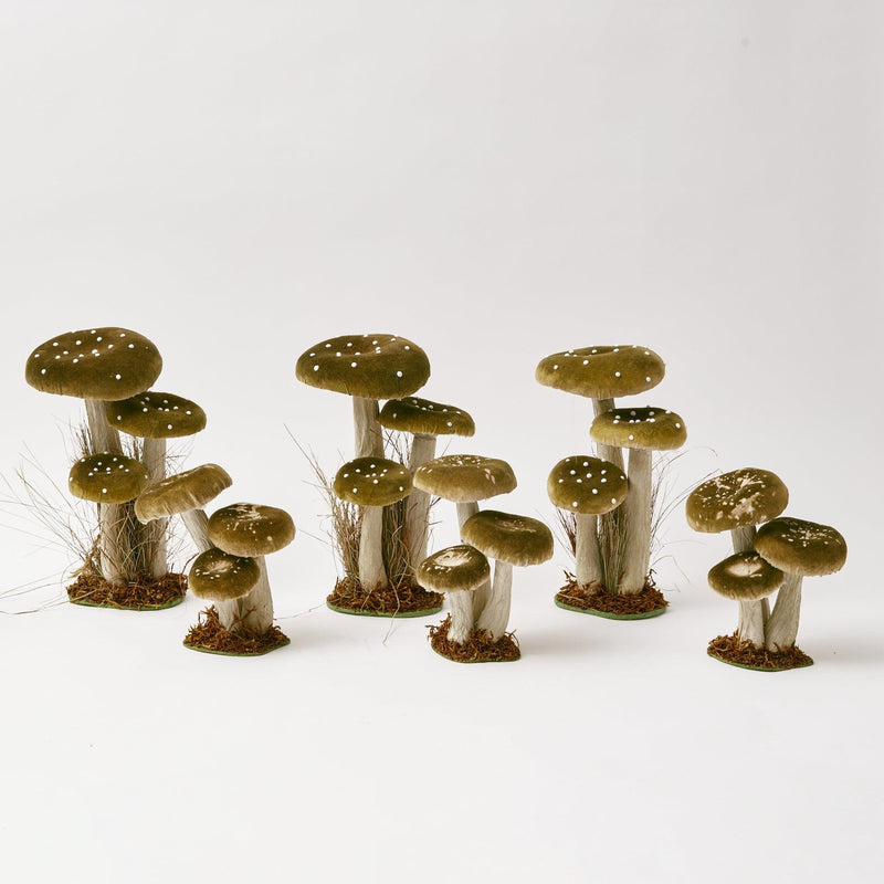 Bring nature's hues indoors with the Tall Green Velvet Mushroom Set, adding a touch of organic beauty.