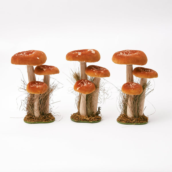 tall-orange-velvet-mushrooms-