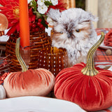 Infuse festive fall accents with the Joy of Autumn Decor.