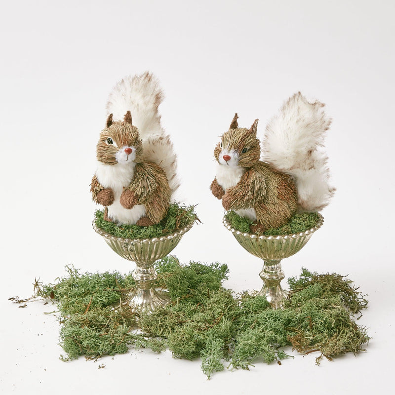 Embrace a touch of woodland whimsy with the Velveteen Mushroom Decoration Set, ideal for bringing a hint of natural elegance to your surroundings.