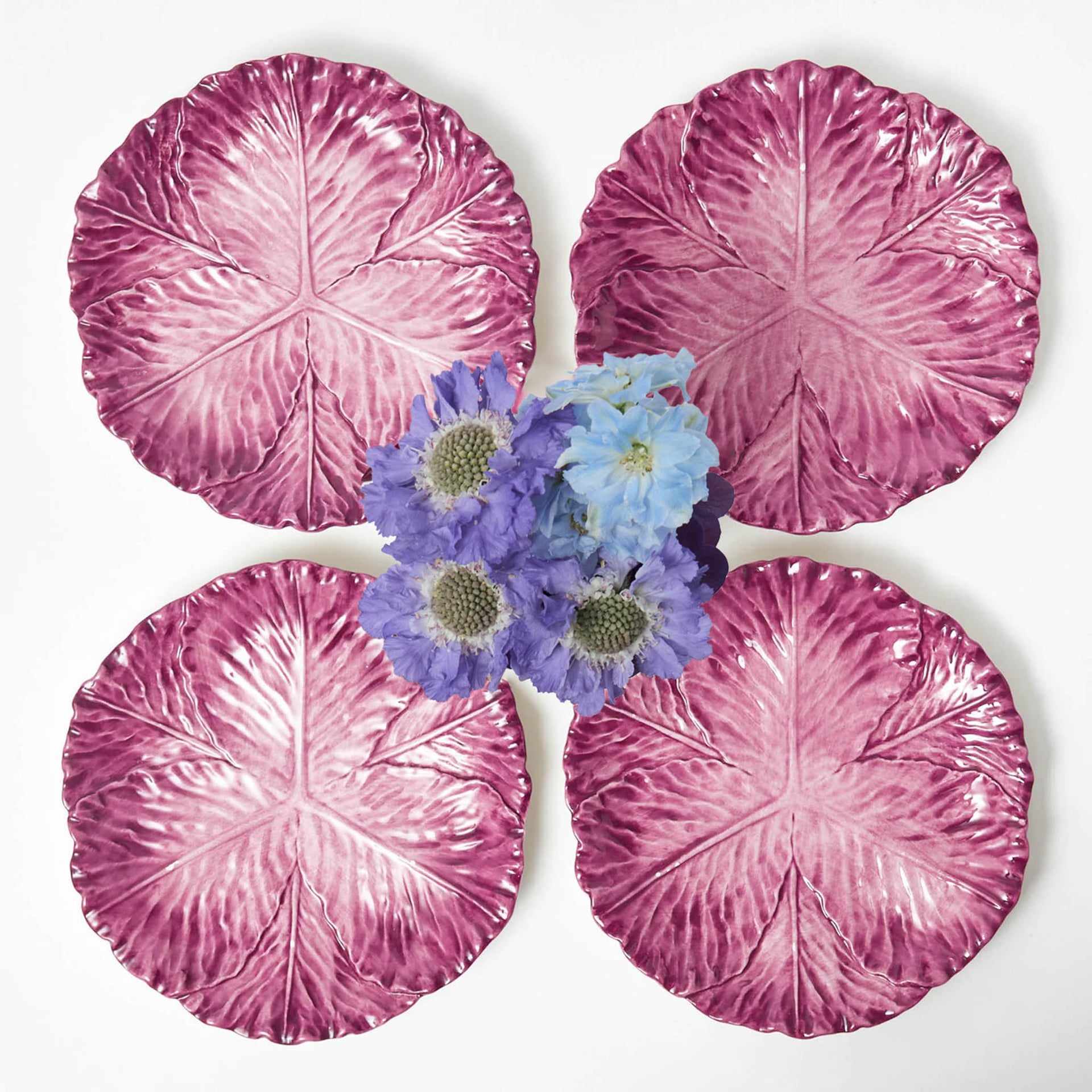 Aubergine Serena Cabbage Dinner Plates (Set of 4)