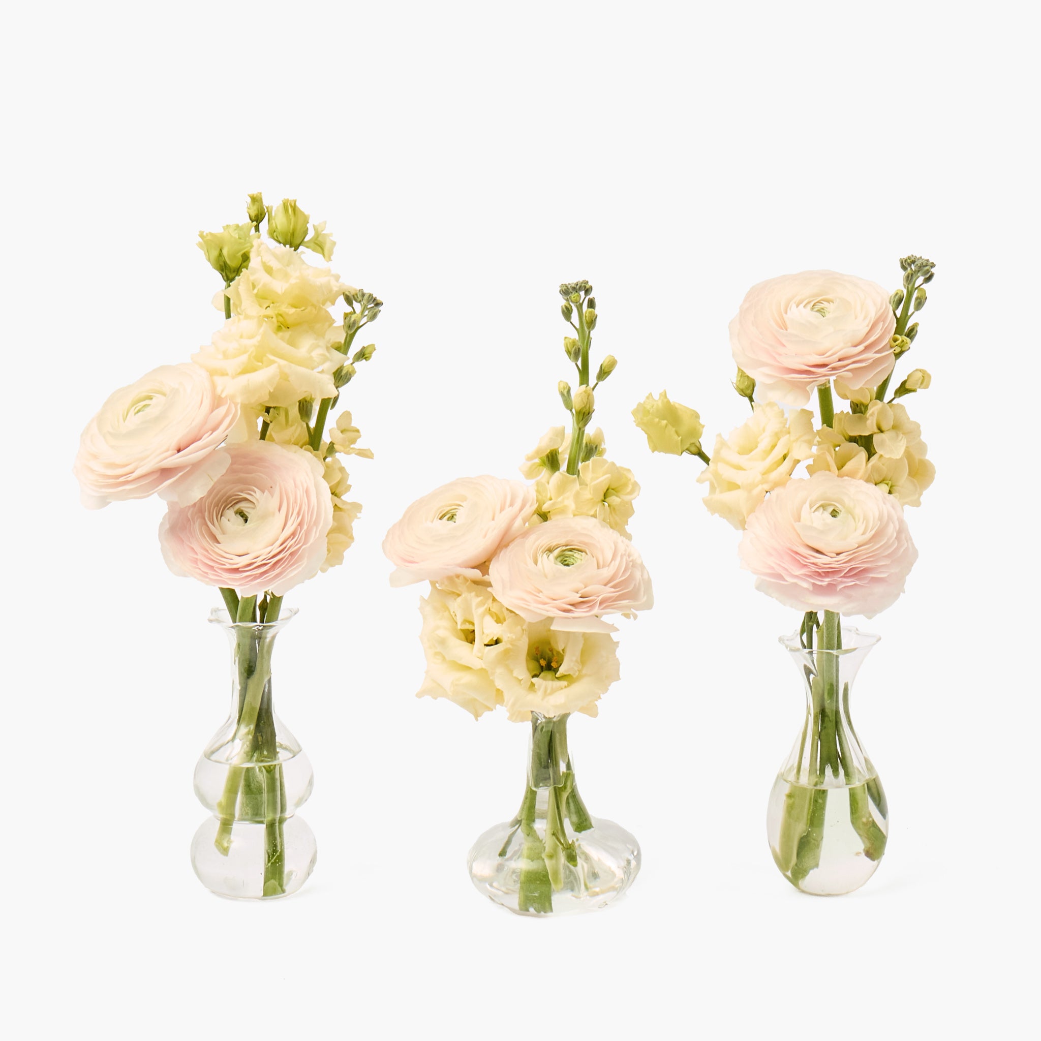 Three small floral arrangements in clear glass vases on a white background