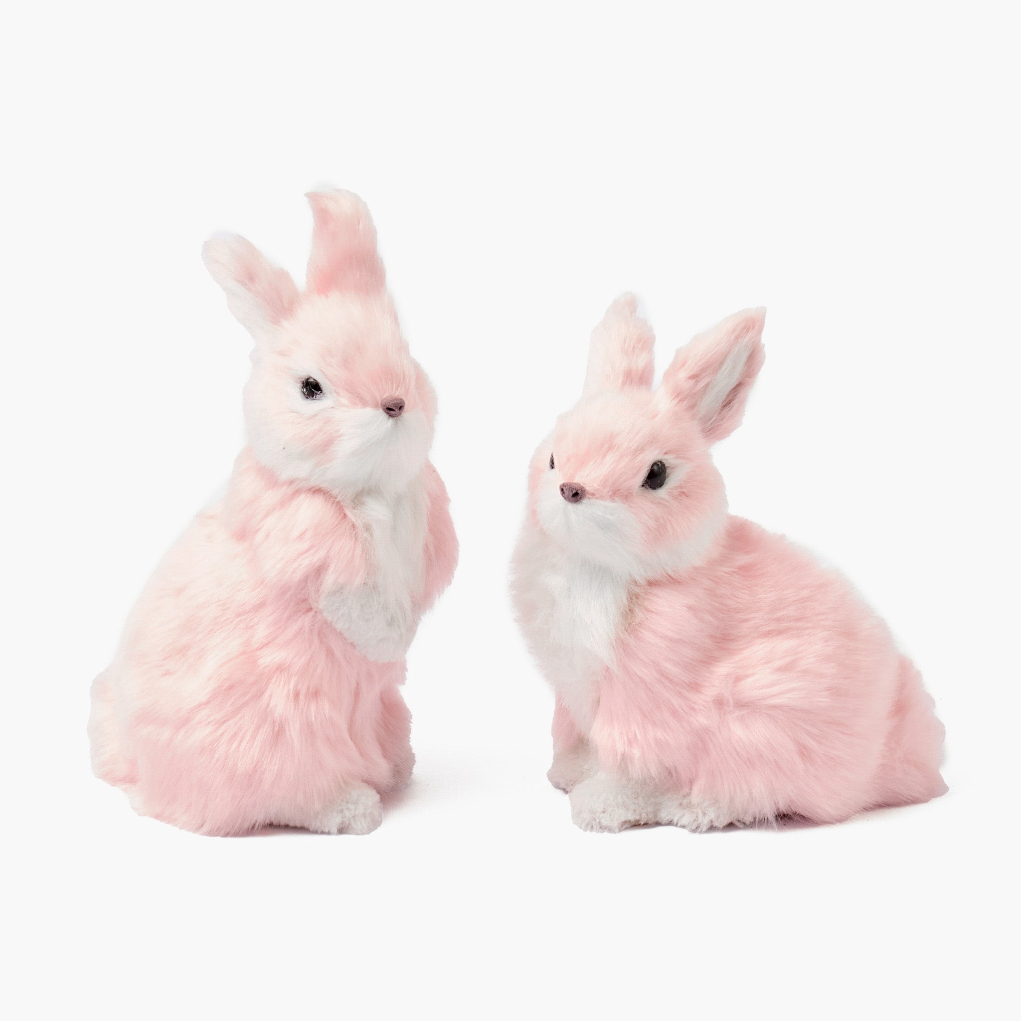 Two pink plush bunnies on a white background