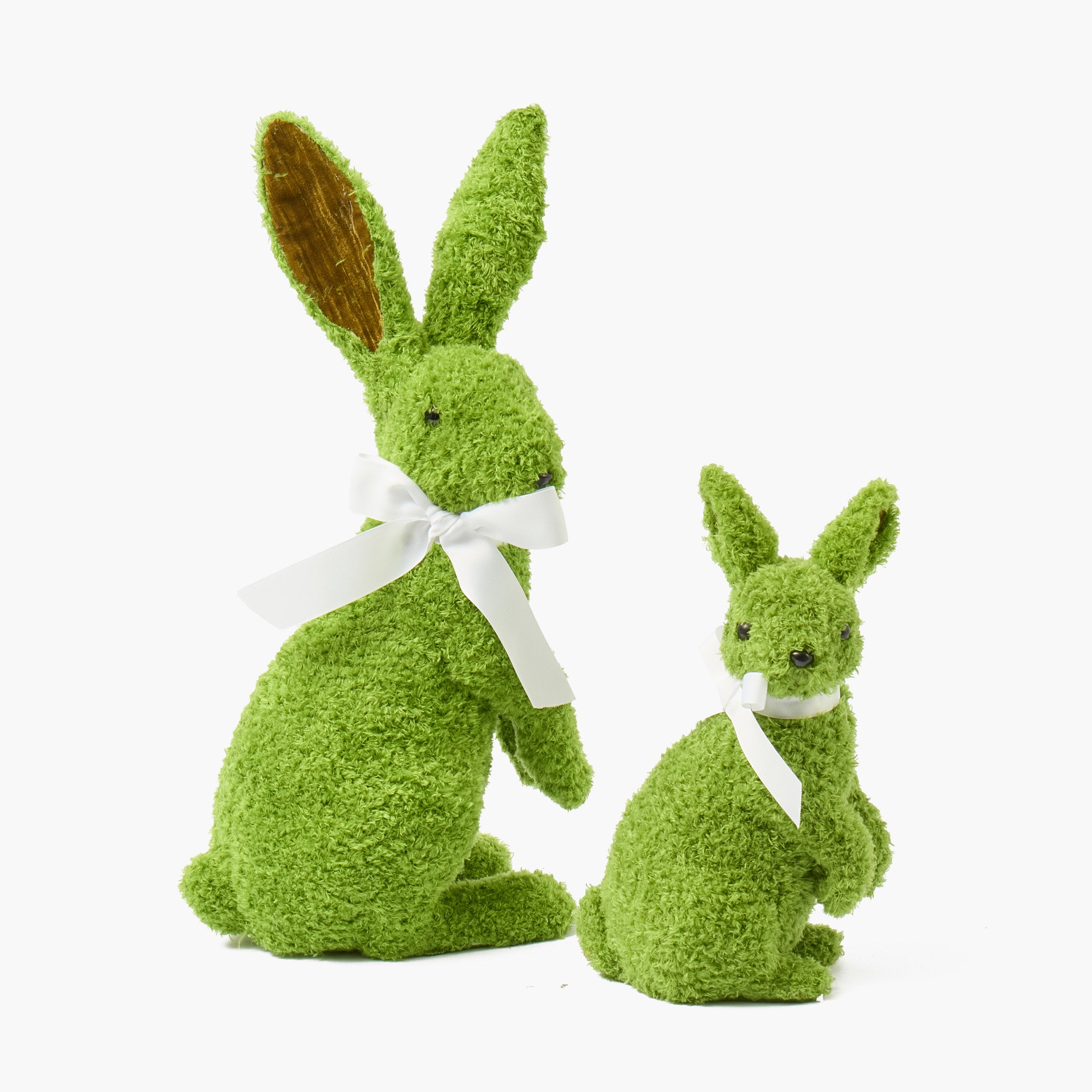 Gina the Giant Rabbit