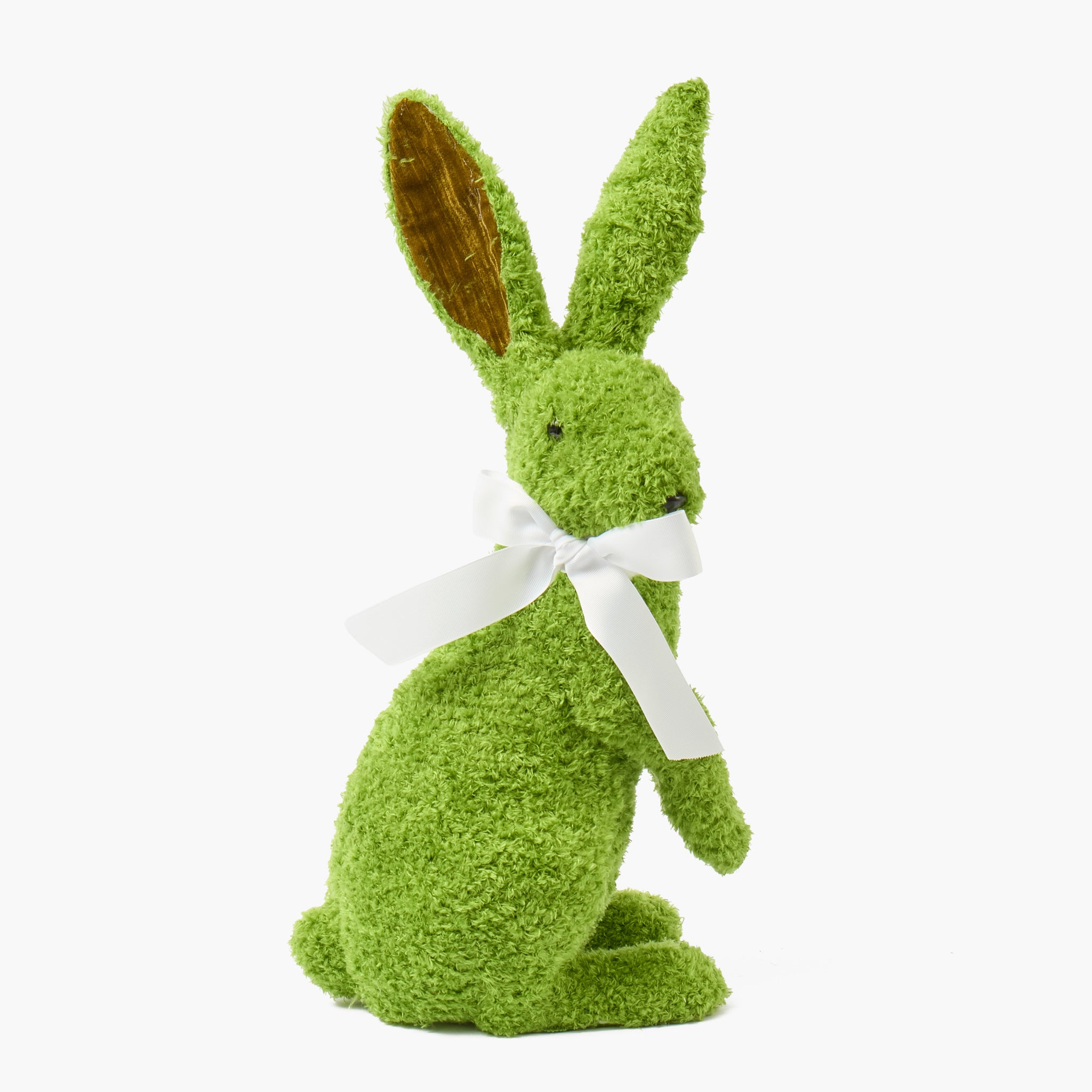 Gina the Giant Rabbit