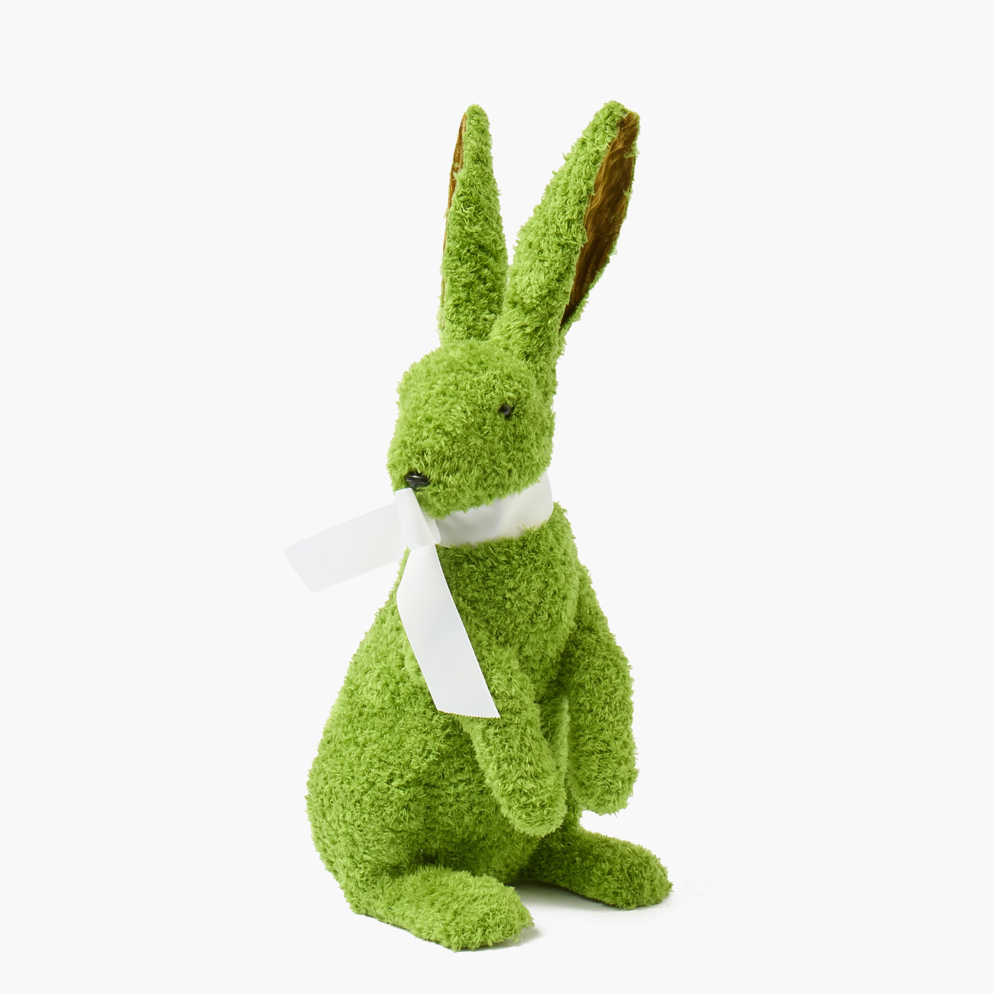 Gina the Giant Rabbit