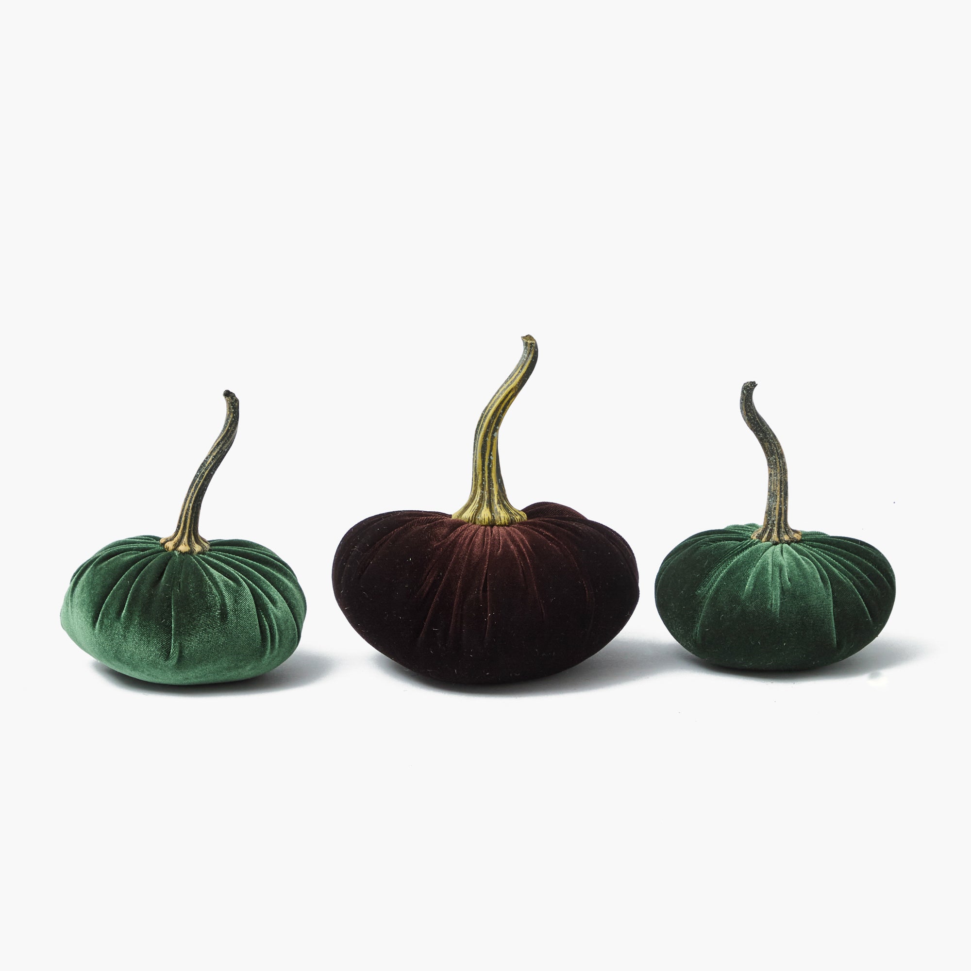 Green & Chocolate Velvet Pumpkin Family