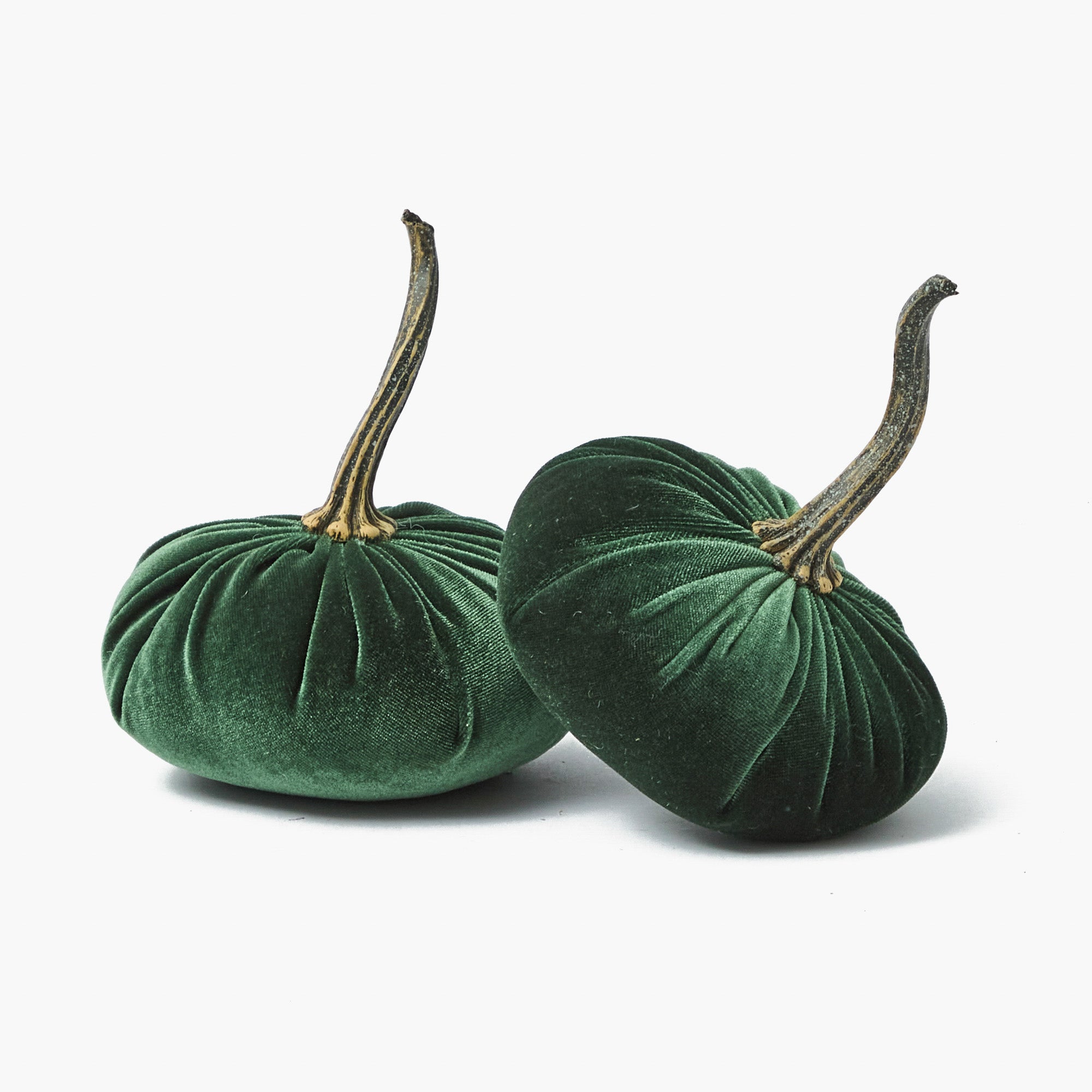 Green & Chocolate Velvet Pumpkin Family
