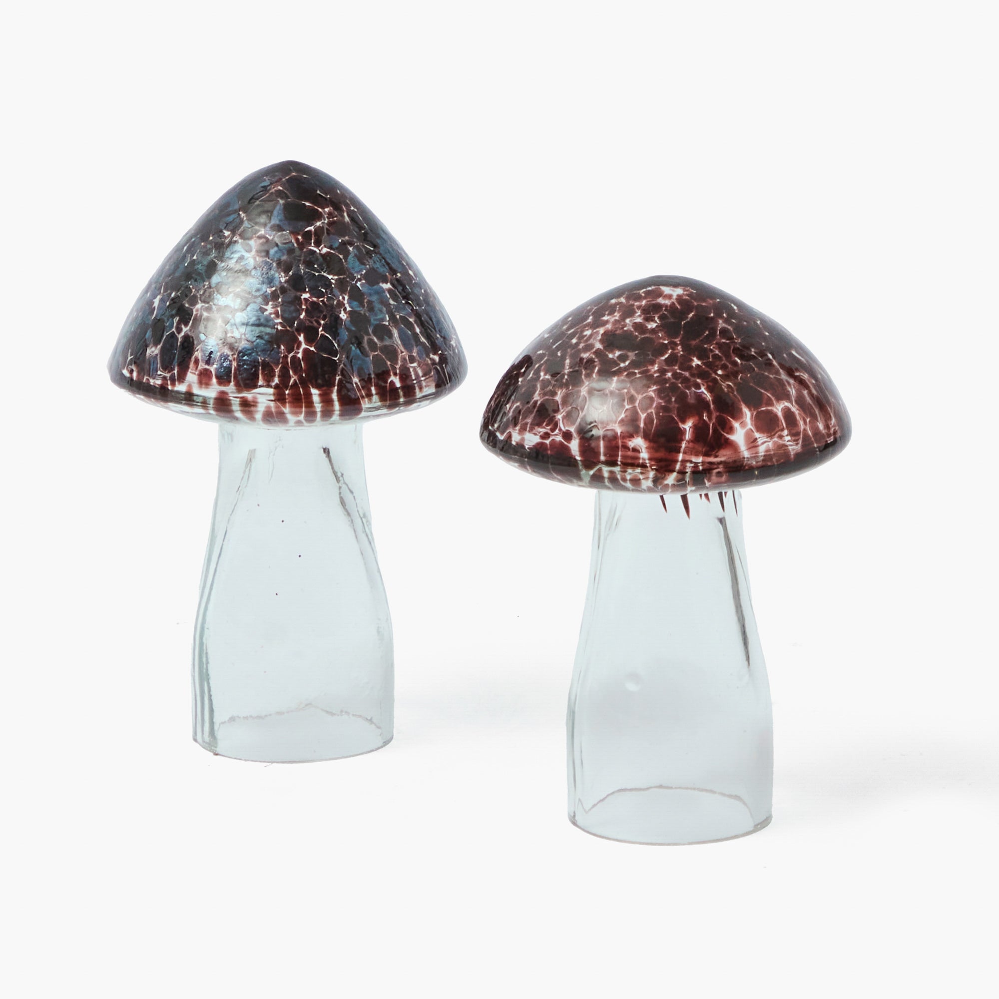 Brown Speckled Glass Mushroom Family