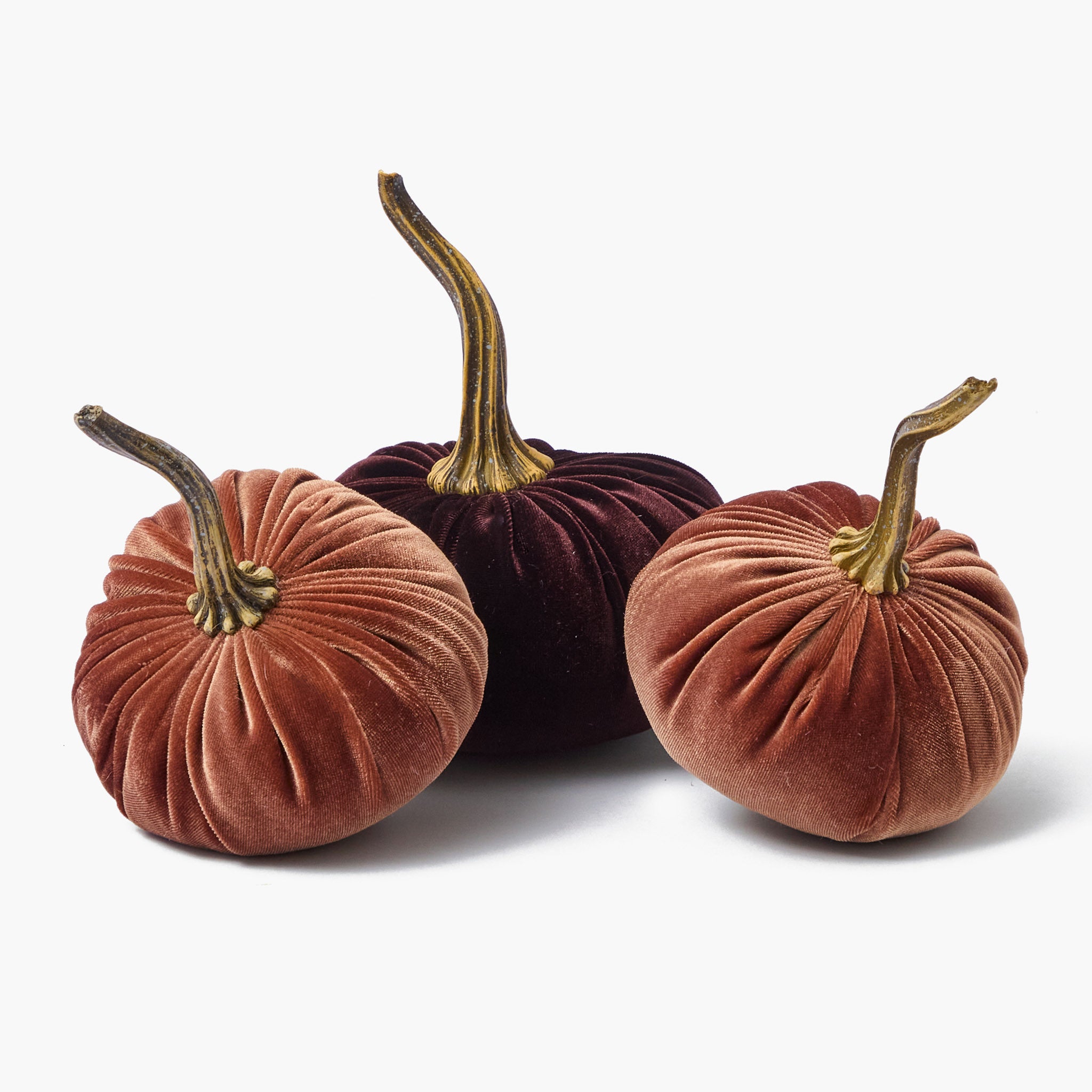 Brown Velvet Pumpkin Family