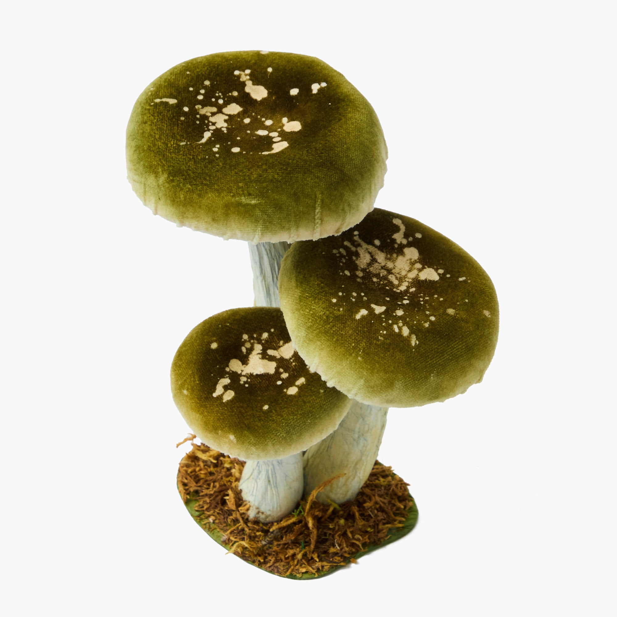 Small Mixed Mushroom Set