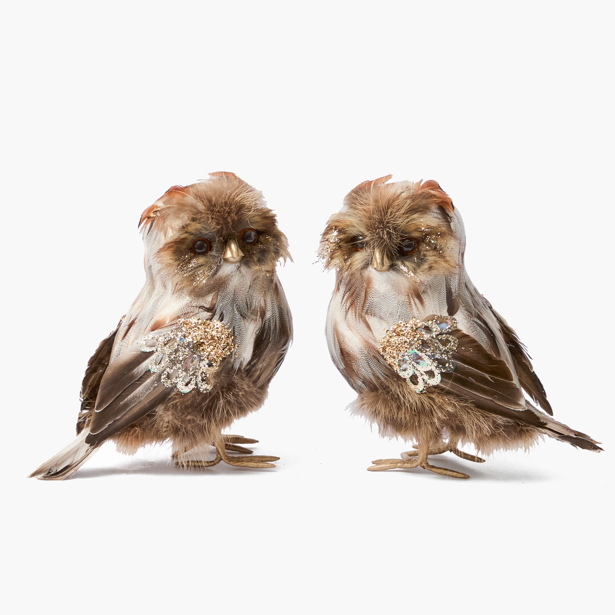 Oswald the Owl (Pair)