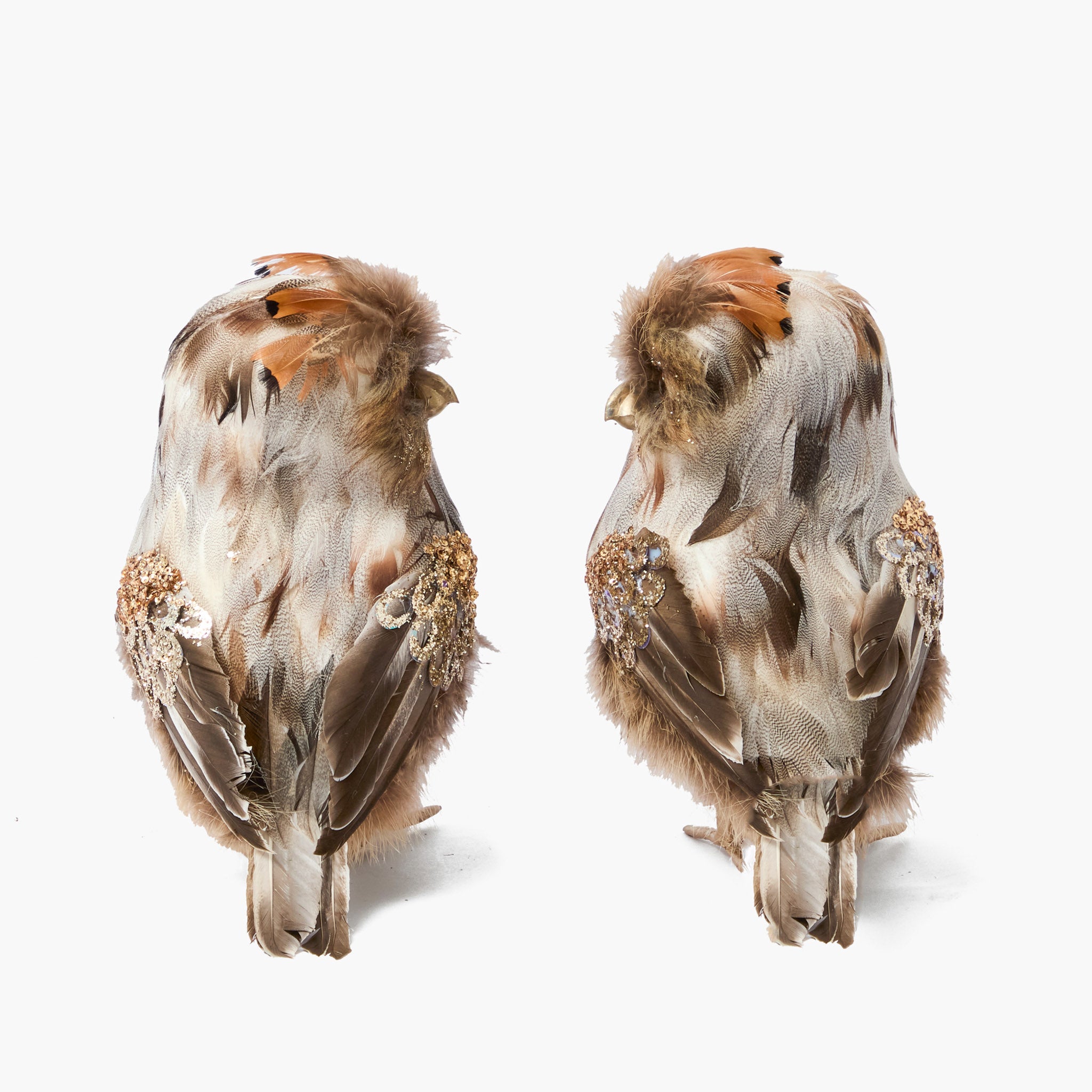 Oswald the Owl (Pair)