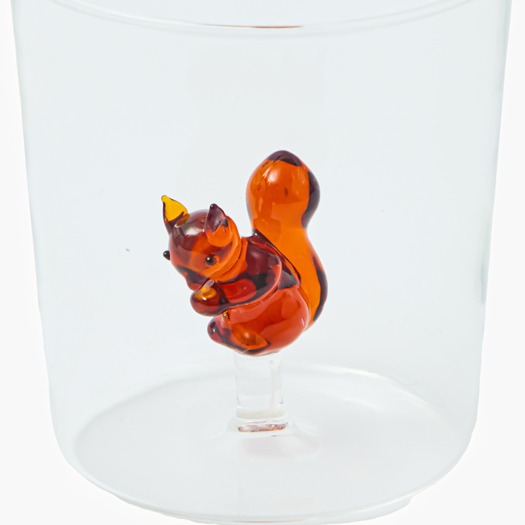 Squirrel Glasses (Set of 4)