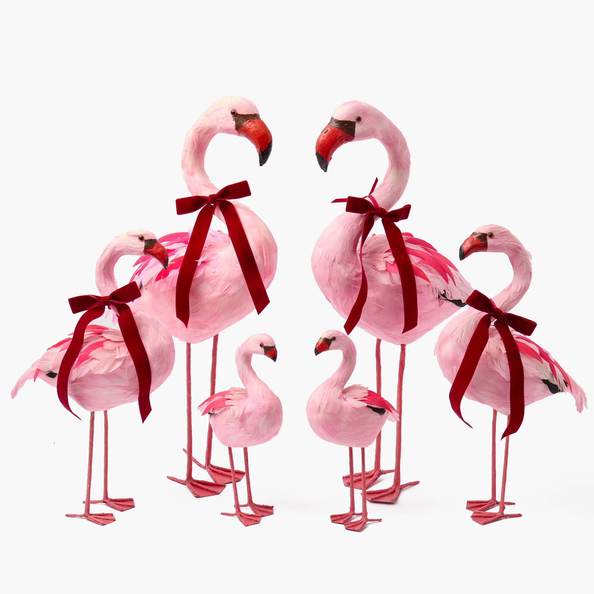 Faye Flamingo Family