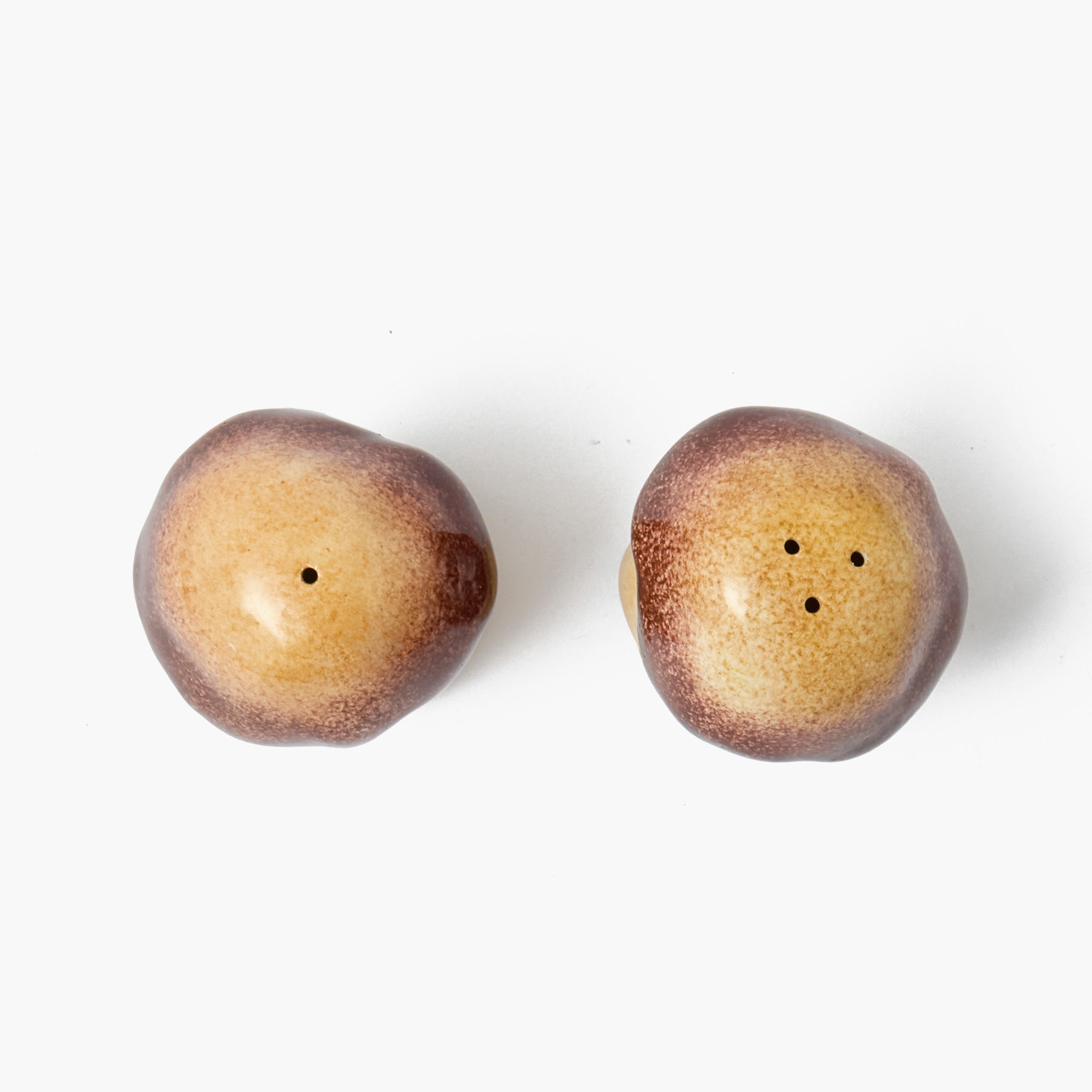 Porcini Mushroom Salt & Pepper Shaker