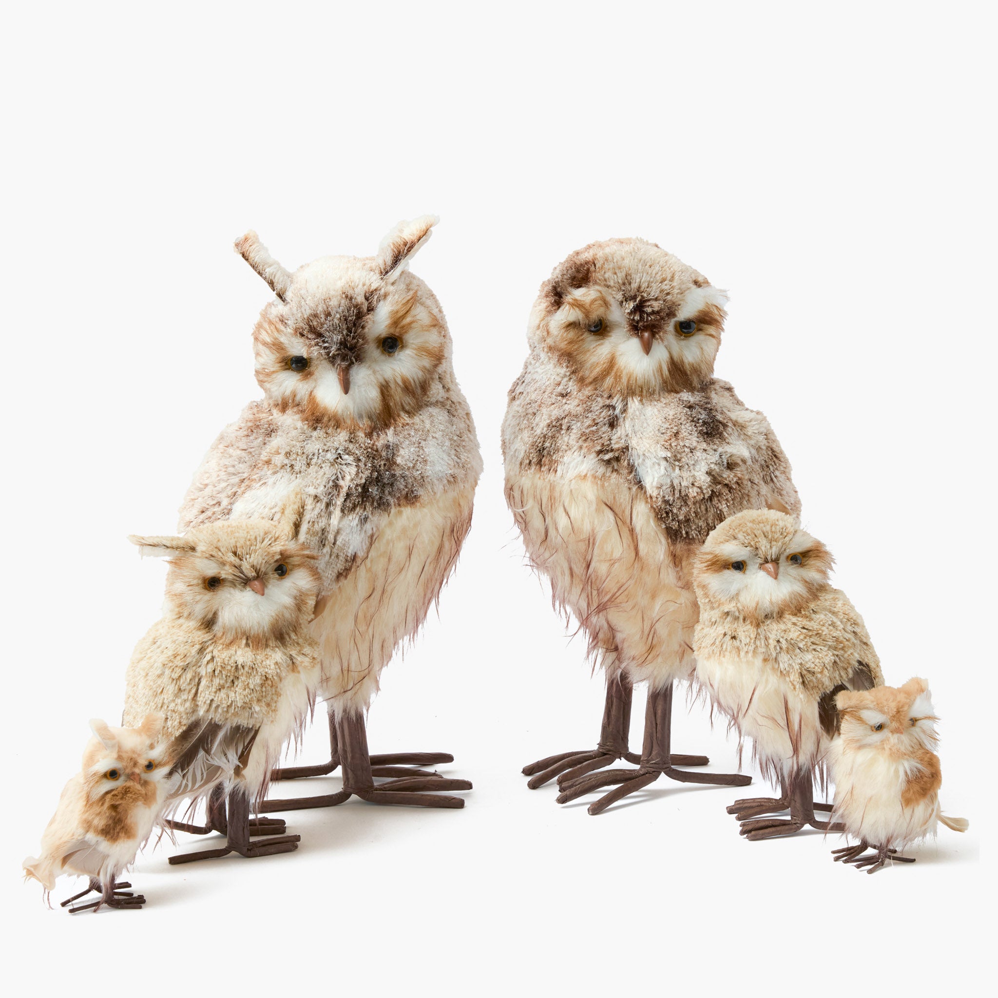 Barn Owl (Pair)