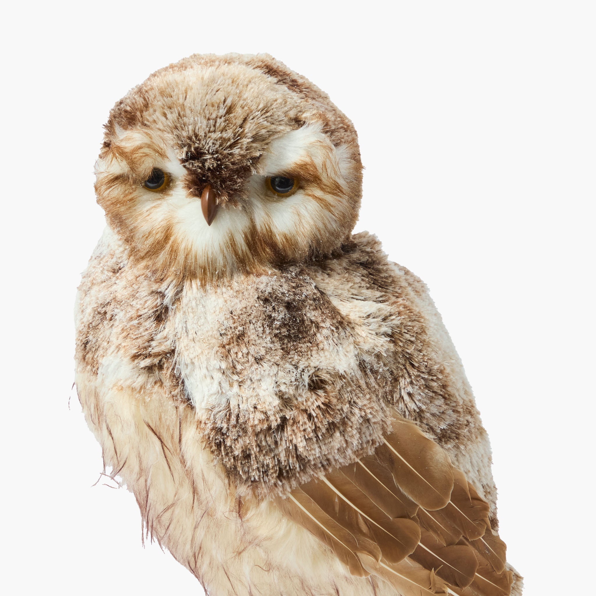 Geoffrey the Giant Owl (Pair)