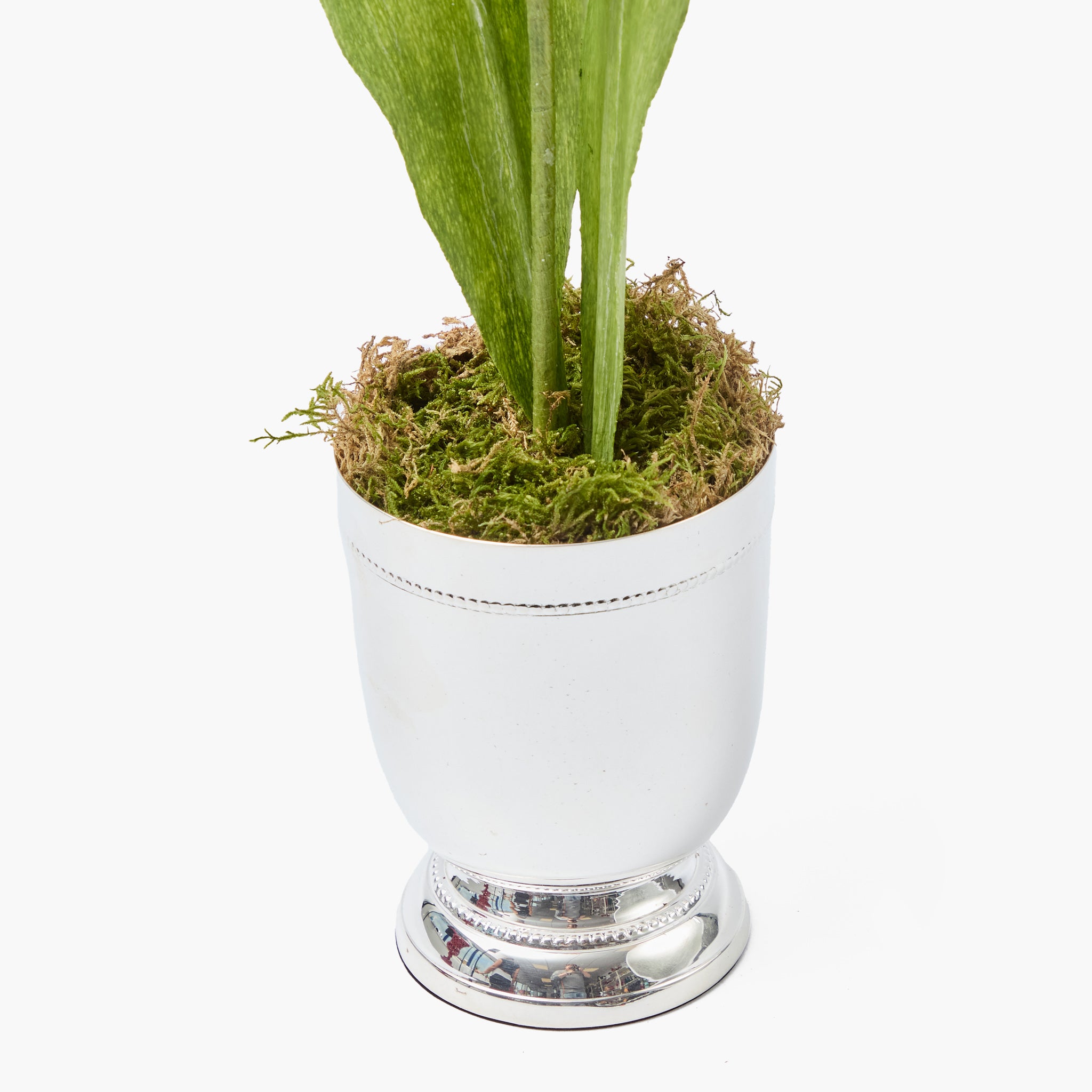 Mrs. Alice Handpainted Red Tulip in Silver Footed Vase