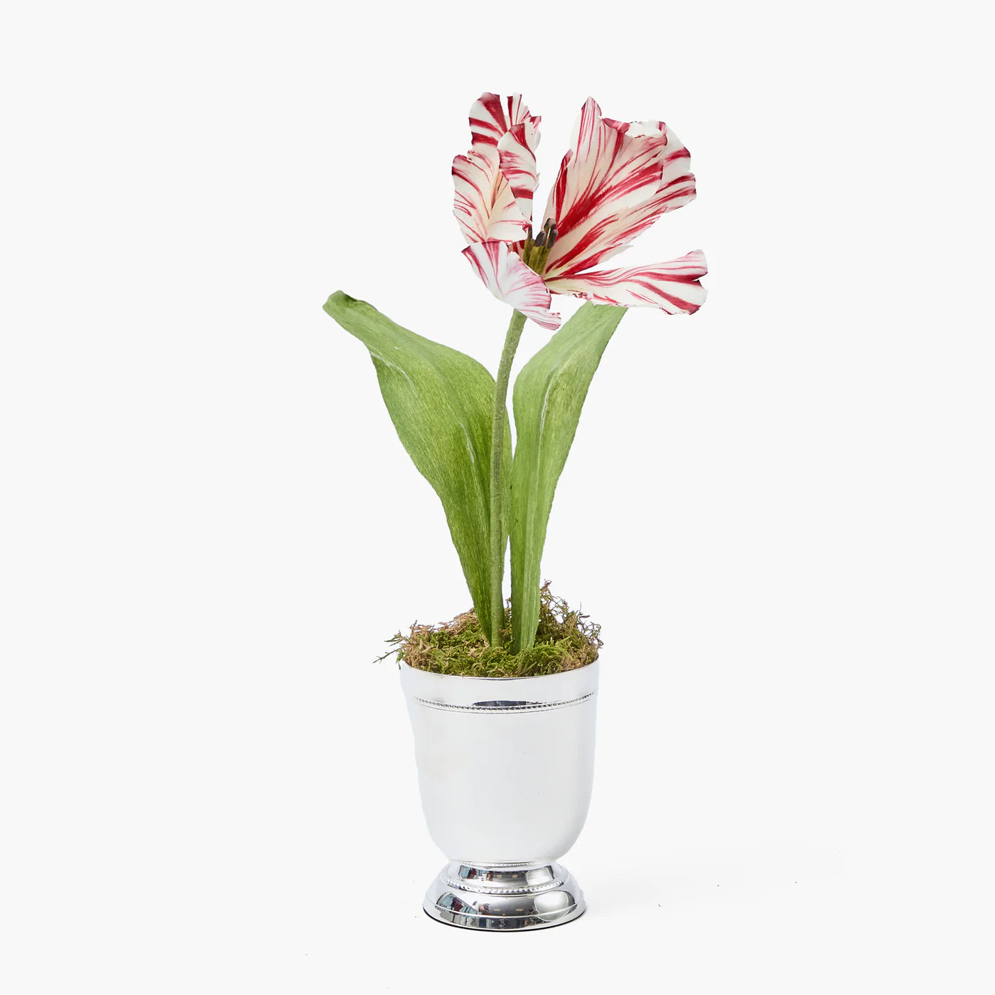 Mrs. Alice Handpainted Red Tulip in Silver Footed Vase