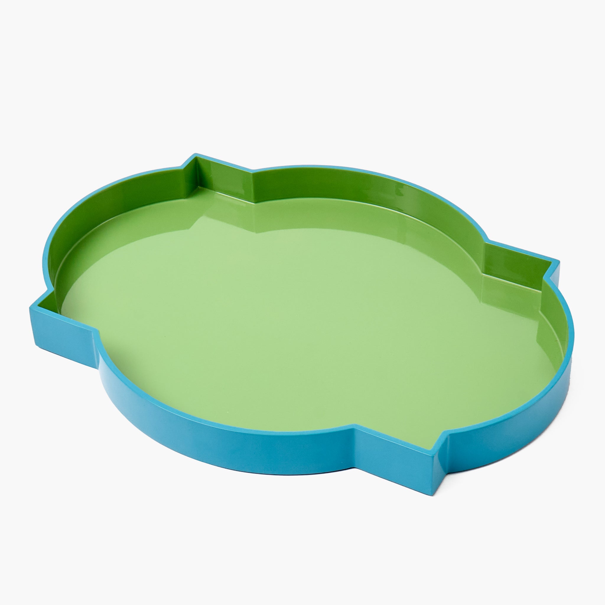 Green and blue pet dish on a white background