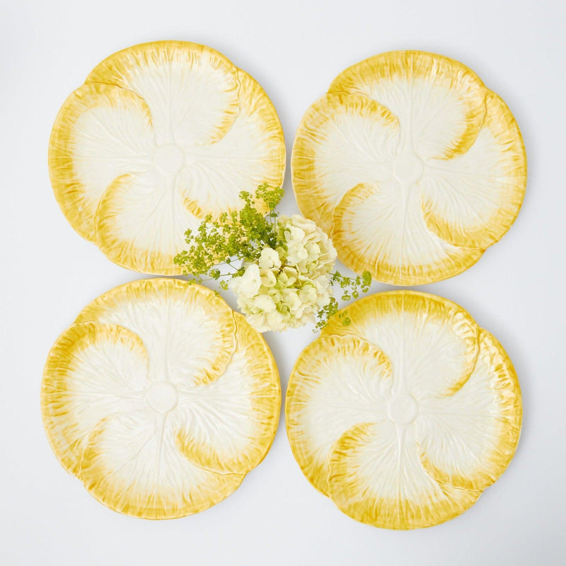 Yellow Capri Lettuce Dinner Plates (Set of 4) - Mrs. Alice