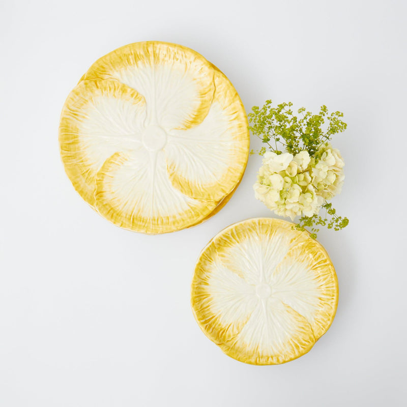 Yellow Capri Lettuce Starter Plates (Set of 4) - Mrs. Alice