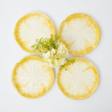 Yellow Capri Lettuce Starter Plates (Set of 4) - Mrs. Alice