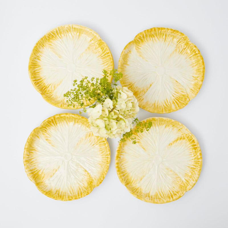 Yellow Capri Lettuce Starter Plates (Set of 4) - Mrs. Alice